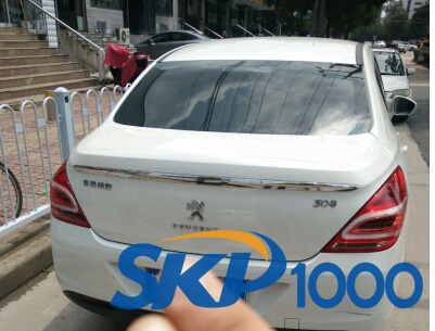 skp1000-peugeot-308